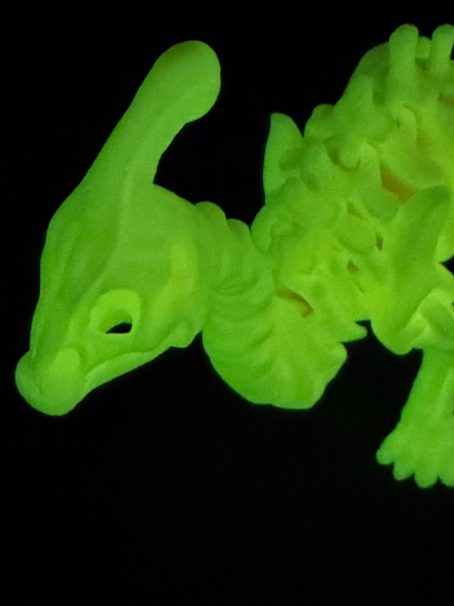 GLO-Dinos Parasaurolophus